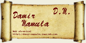 Damir Mamula vizit kartica